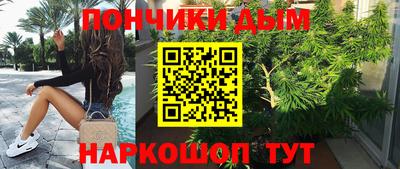 2c-b Камышлов